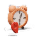 Always On time